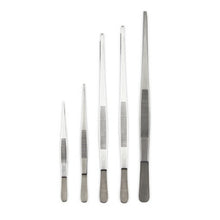 Load image into Gallery viewer, Economy Dissecting Forceps