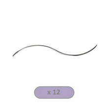Load image into Gallery viewer, Serpentine Needles per 12